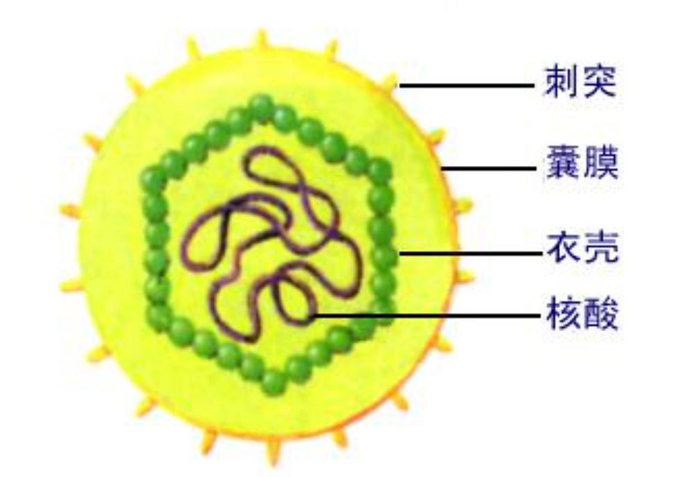 最可怕的朊病毒是什么,世界上最可怕的朊病毒