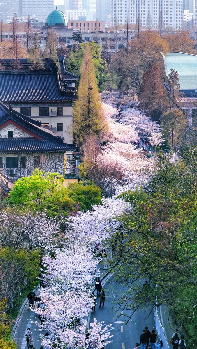 中国唯一“三省省会”,省内万人嫌,省外的台湾却对它情有独钟