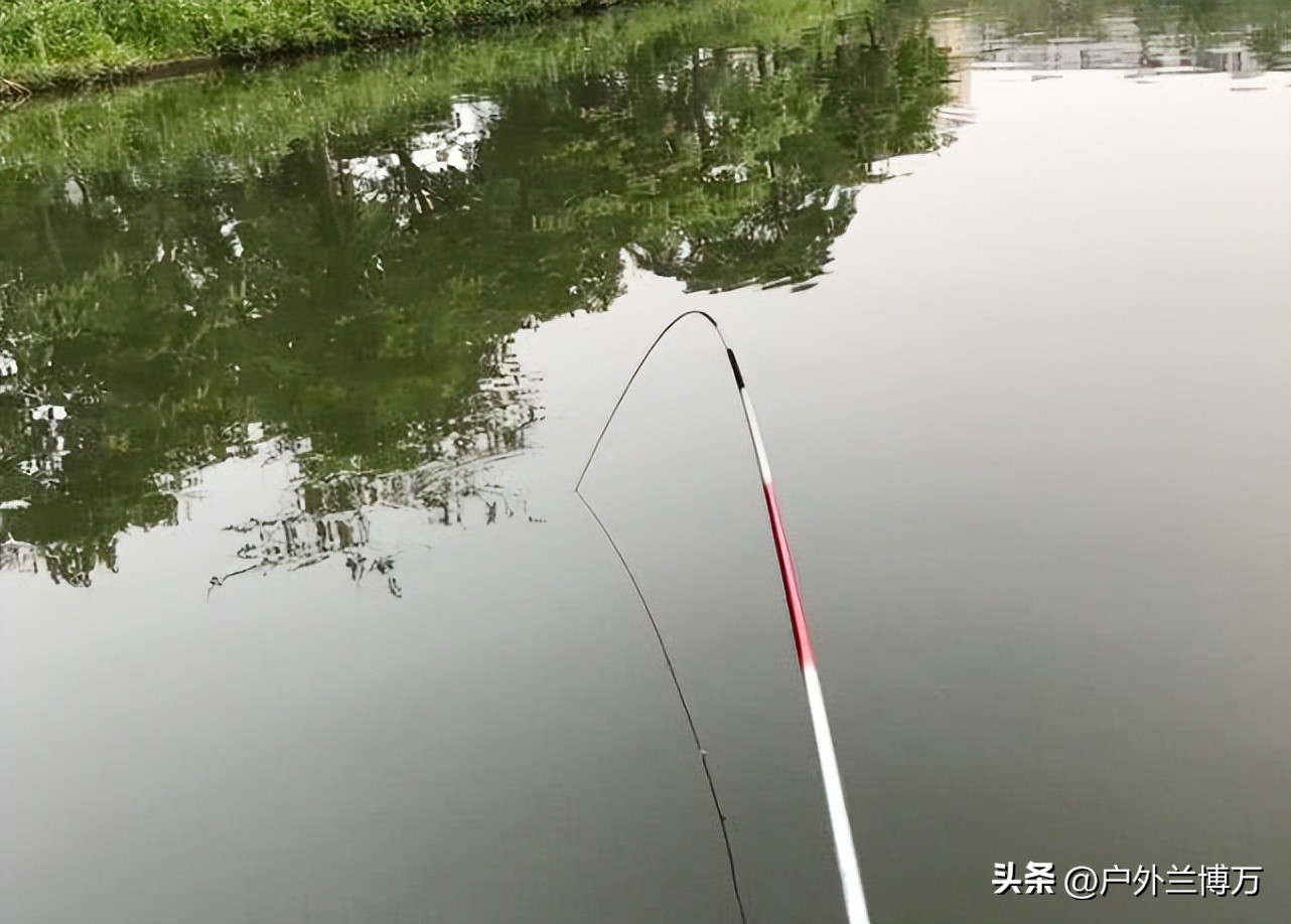 哪一款5米4并继竿不那么重头,并继竿1000内选择国产还是进口