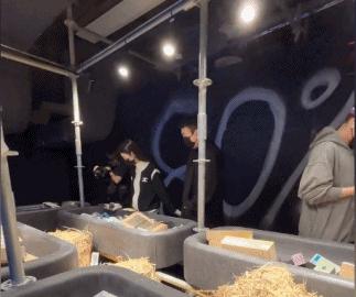 王思聪带新女友逛商场,王思聪带女友逛街被网友偶遇