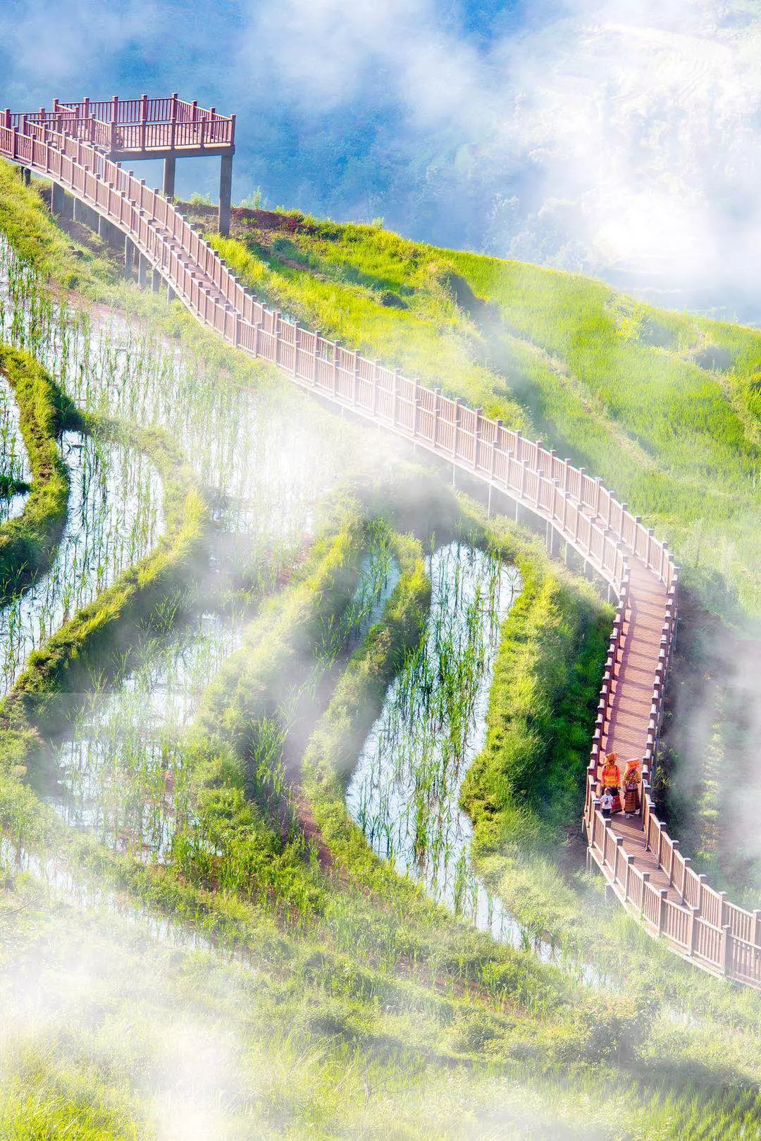 喜欢在这座江南城市里生活,非常喜欢这座自带浪漫的美丽城市