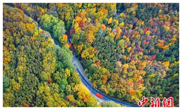 人这一辈子都要去一次的地方,人这一生一定要去一次南京吧