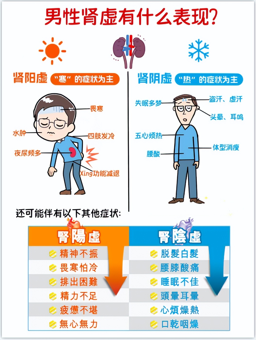 男性肾虚，功能下降夜尿多，试试这几个动作，一个月就好了