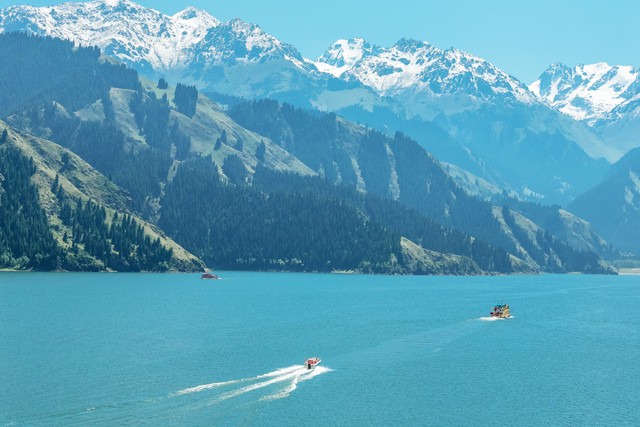 新疆飞虎男篮队最新消息,新疆飞虎男篮队员最新消息