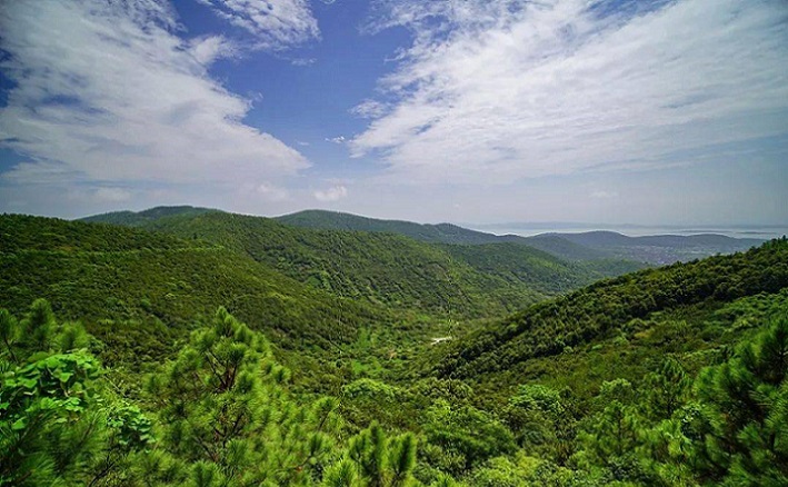 苏州十大旅游必去景点有哪些,苏州十大旅游必去景点排名