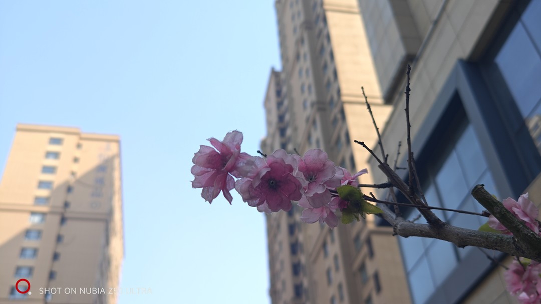 努比亚z50ultra对比其他全面屏手机,努比亚z50ultra全面屏有什么优势