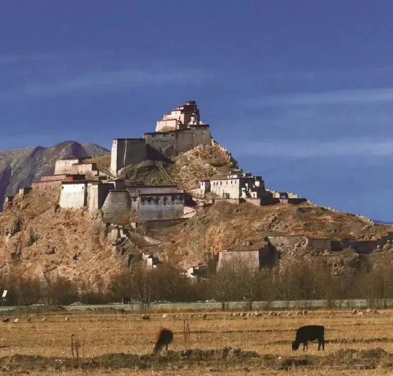 日喀则五条沟旅行攻略,日喀则最好的路线