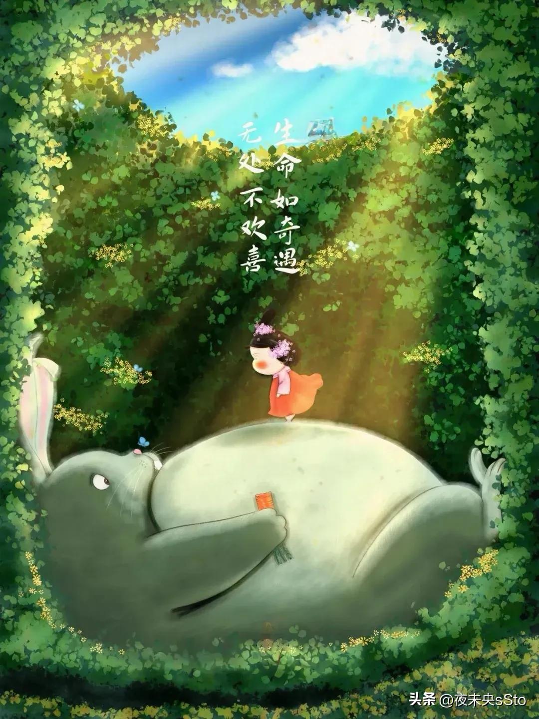 做一条安静的小闲鱼,懒人做闲鱼