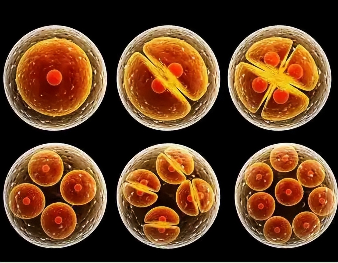 女子体内存在男女器官10年不敢回家，哪些原因导致？能治愈吗？