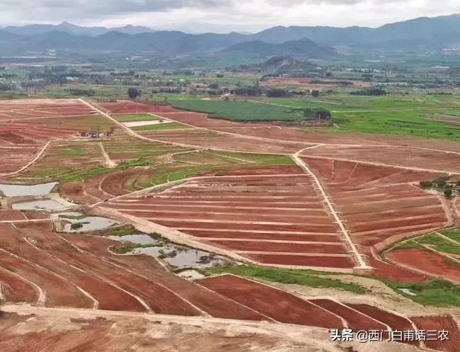 生产队记忆小视频,生产队牛棚记忆