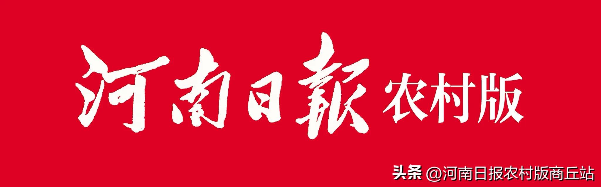 抗疫一线炼初心——记宁陵县卫健委派驻孔集乡桑庄村第一书记路杰