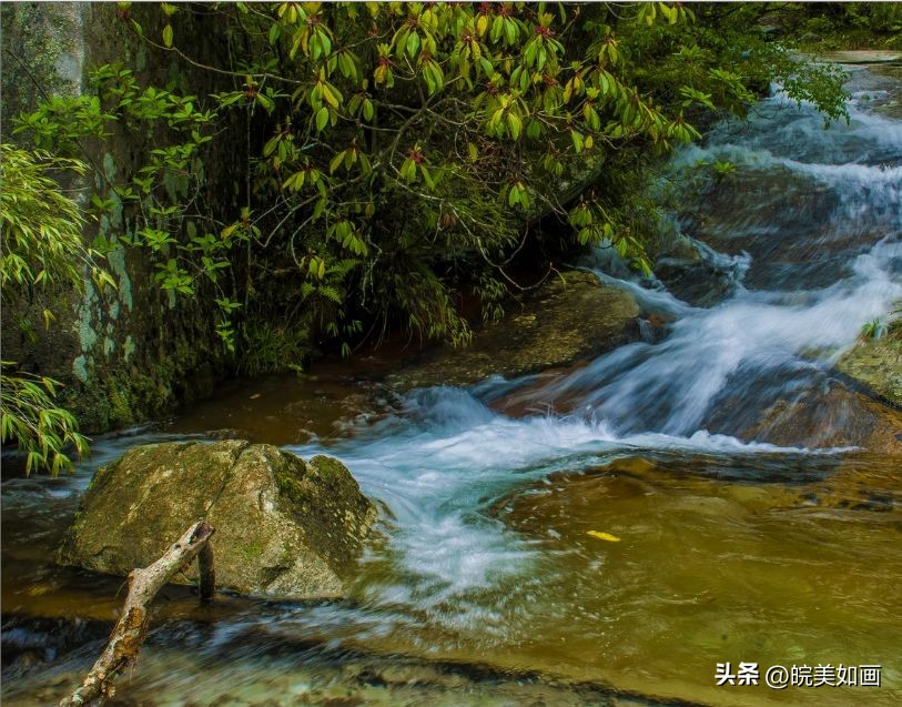 省内周边清凉避暑的地方有哪些,夏季清凉的旅游景点