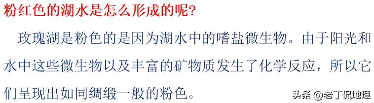 世界杯喀麦隆vs阿尔及利亚,塞内加尔世界杯之路