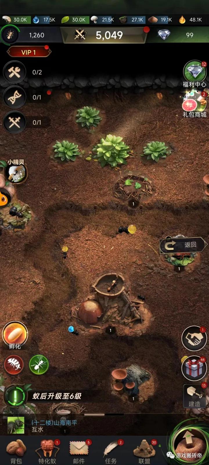 小小蚁国攻略教学视频,小小蚁国手游国际版怎么进入