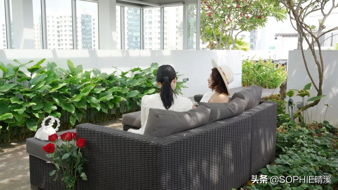 24岁创立VC投资基金,我在这个山东姑娘身上看到了人生的无限可能