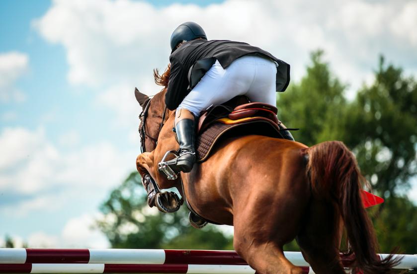 多大可以练习骑马,骑马学多久才能策马奔腾