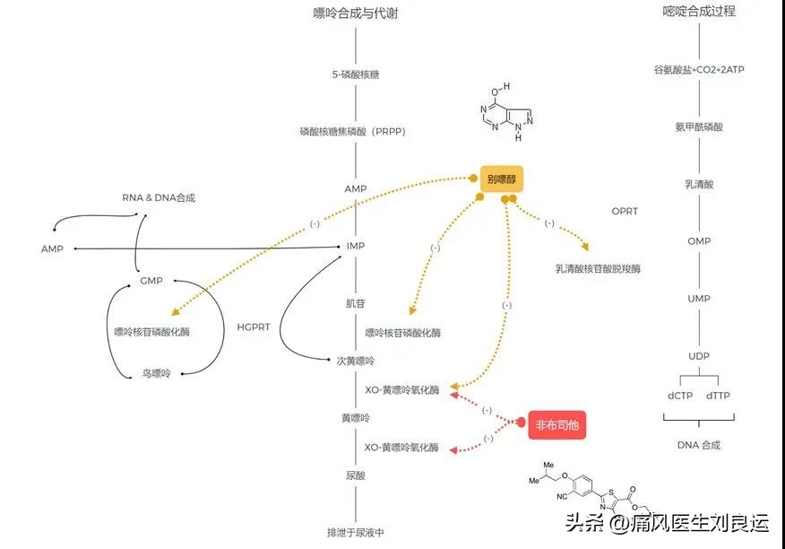 痛风血尿酸降到正常后再怎么用药,痛风用药怎么控制