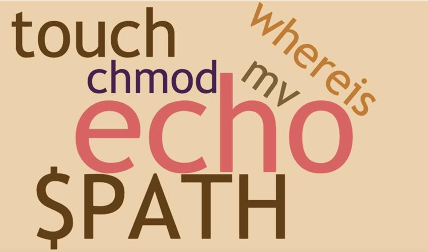 linux鐭ヨ瘑骞茶揣,鐪嬪畬杩欑瘒浣犱竴瀹氳兘鎺屾彙linux