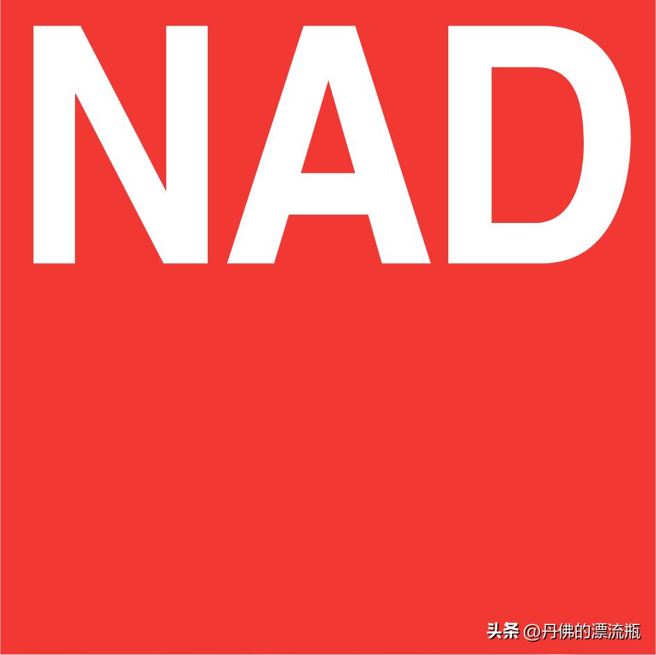 世界顶级d类功放十大品牌,世界公认十大顶级功放