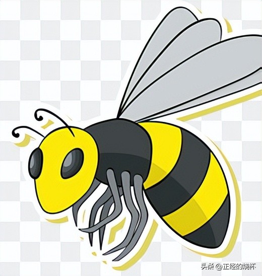 马蜂的习性有多可怕,马蜂习性的特点是什么