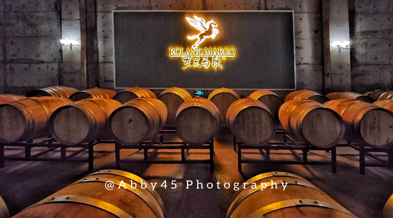 夏天旅行怎么能少得了宁夏呢?5天打卡19家酒庄,微醺的快乐超赞