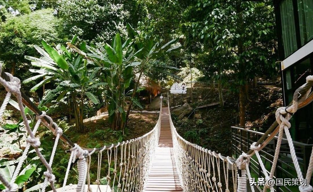 清迈人气最高咖啡厅,“丛林+咖啡”创意玩法,“火”在三大原因