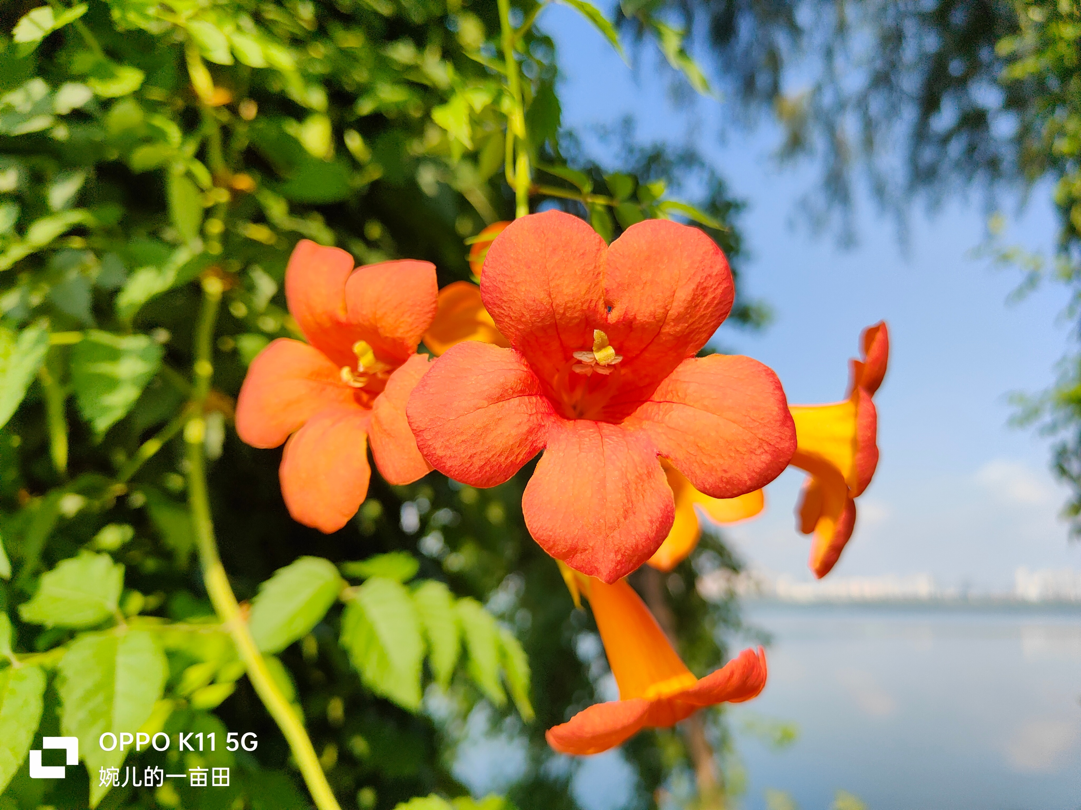 oppo2k手机价格,oppo2k左右性价比高的手机