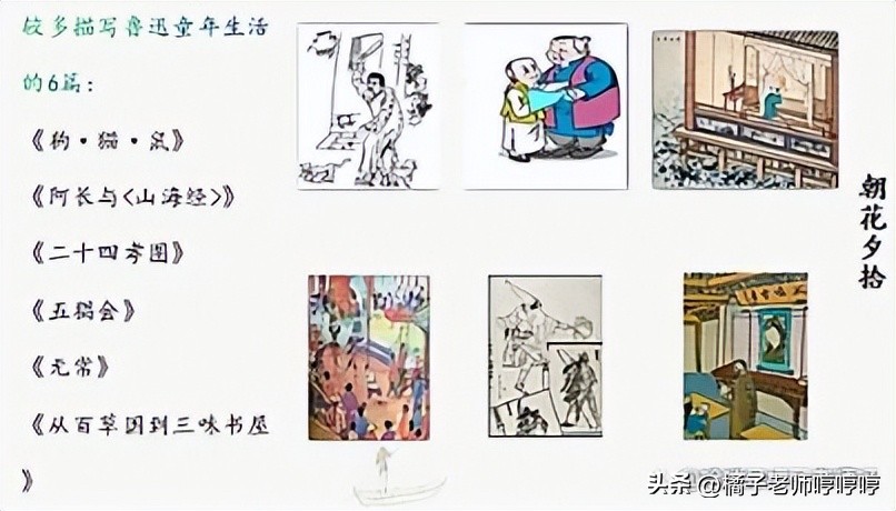 鏈濊姳澶曟嬀蹇呰儗鐭ヨ瘑鐐瑰畬鏁寸増,鏈濊姳澶曟嬀鍓嶄笁绡囧繀鑰冪煡璇嗙偣