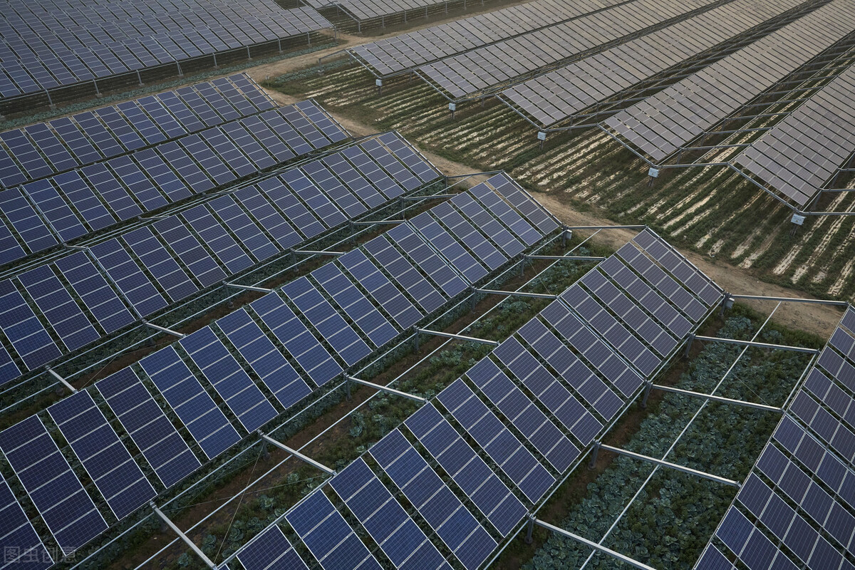 面板行业2023分析,面板行业的深度报告