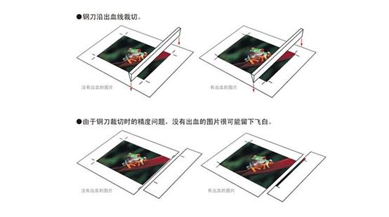 干货教程新手入门零基础,ai出血教程