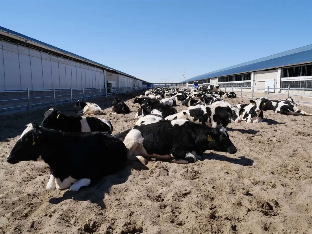 【旗县动态】奈曼旗、开鲁县、库伦旗