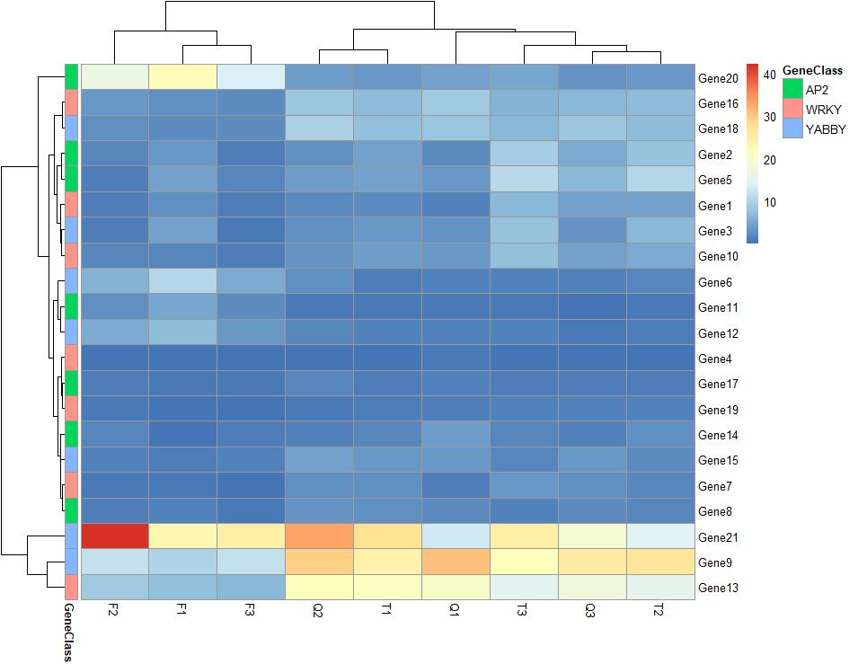 绘制热图的数据,热图用什么绘制