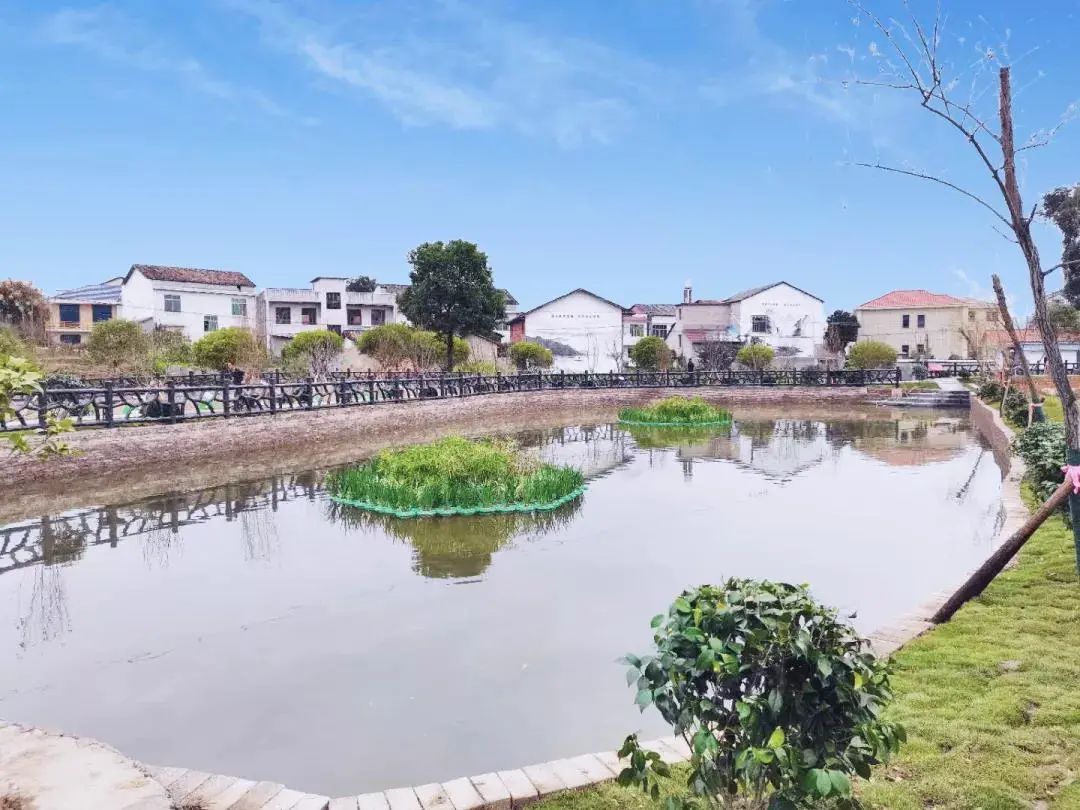 长沙美丽乡村附近有什么好玩的,长沙近郊自驾游最新十大景点