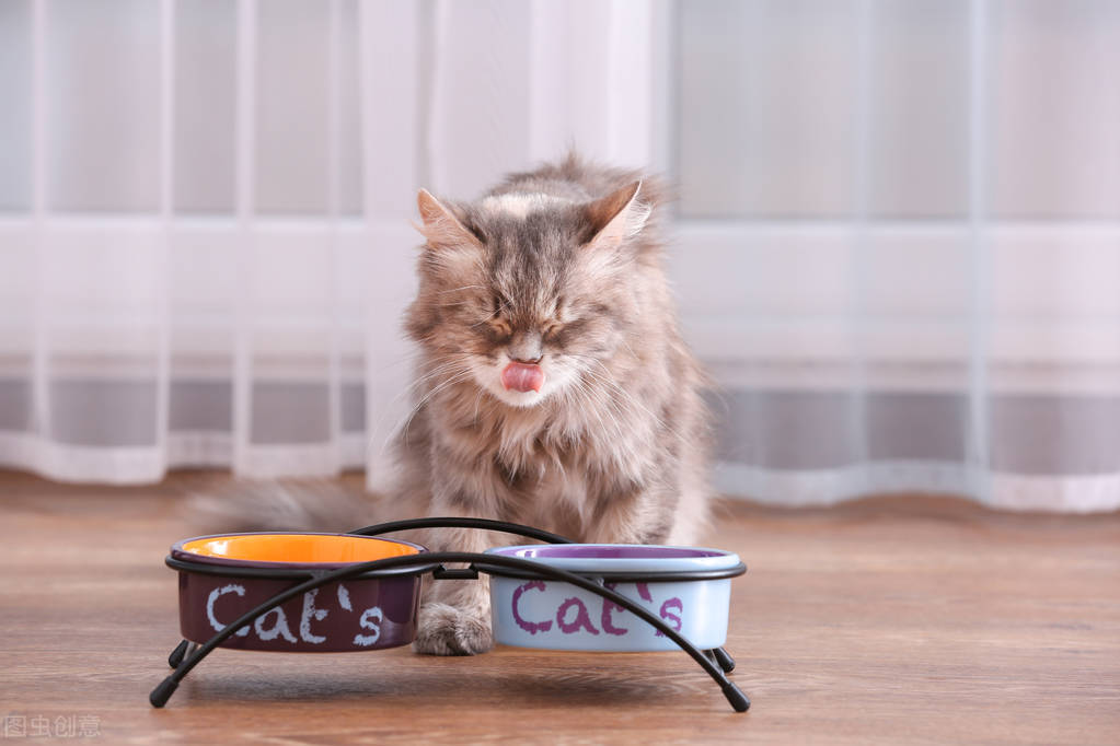 三个月小猫感冒了打了疫苗咋办,小猫感冒打喷嚏流鼻涕吃什么药