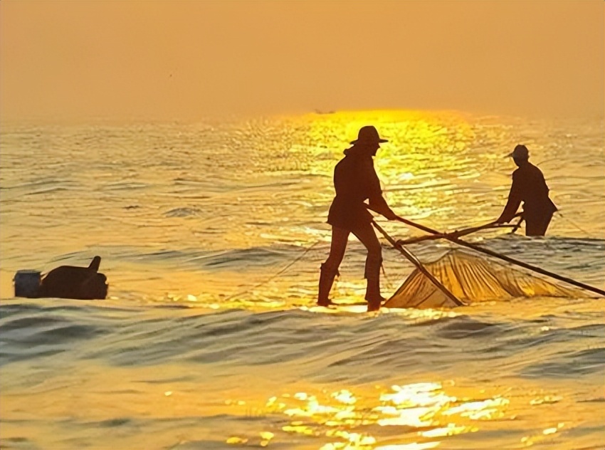 央视一姐董卿现在怎么样了,央视一姐董卿目前状况如何