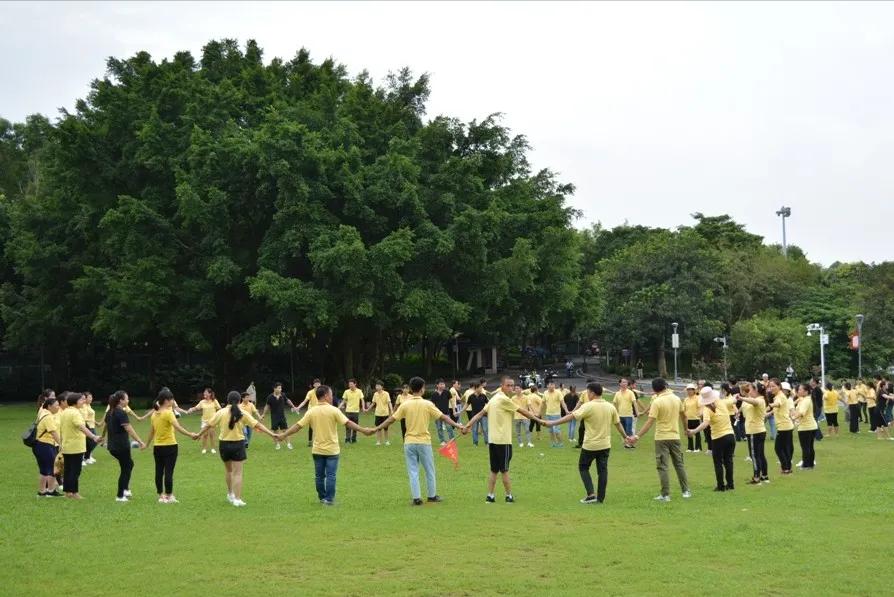 新颖团建拓展项目,趣味拓展精品团建必选地