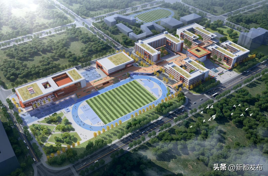 最新开建教育项目,40个基础教育项目