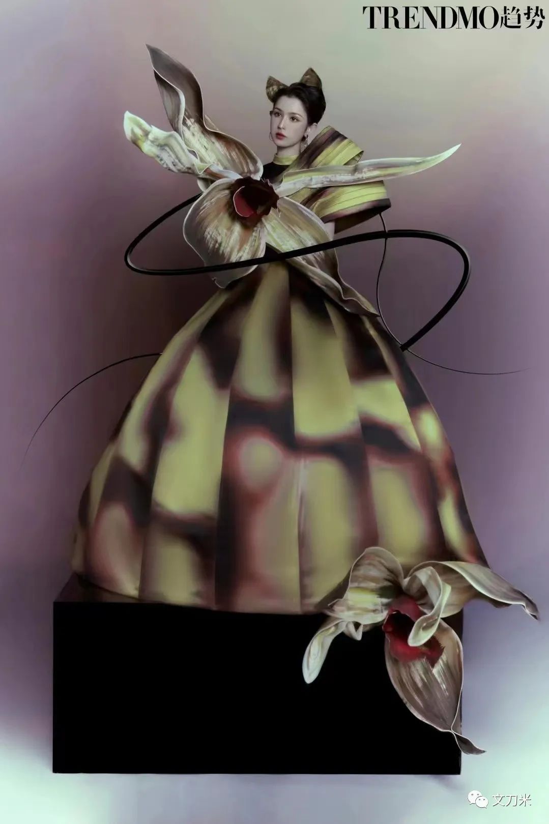 34岁转行即火|大品牌、明星争相找这位新手做花