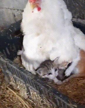 刚买的口红能不能用,刚买的口红拿出来会怎么样