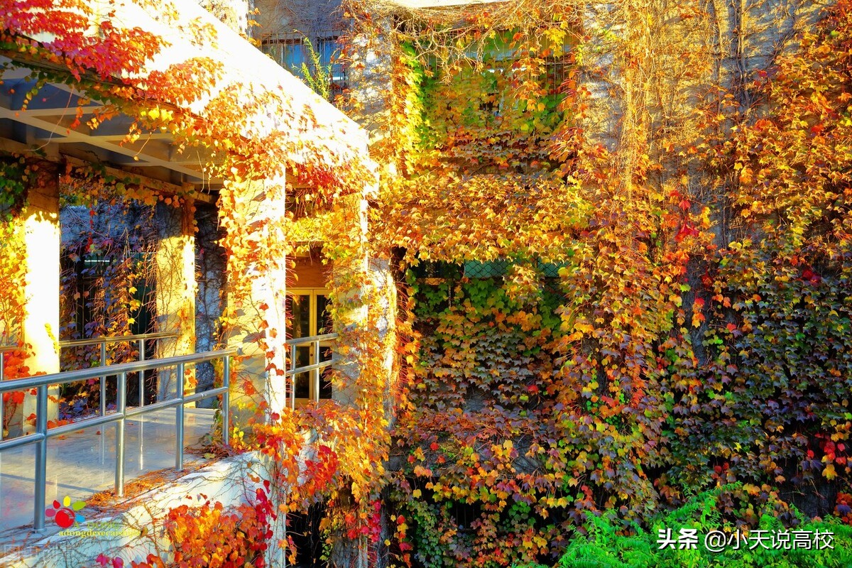 燕山大学是不是被评为双一流大学,燕山大学有没有希望变双一流大学