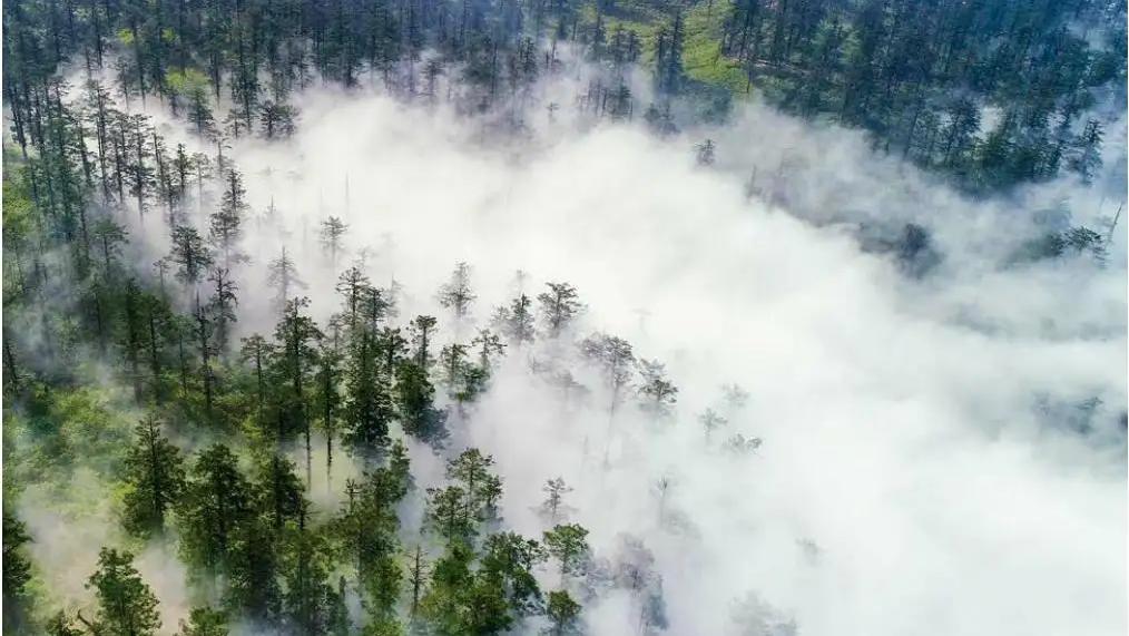 你一定去过许多迷人或神奇的地方,中国境内最值得去的三个地方