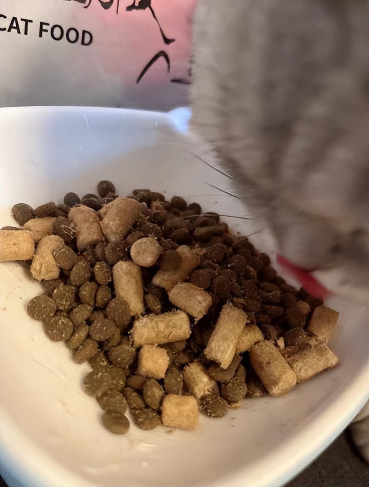 猫生猫粮真实测评,喵达猫粮猫咪吃了好吗