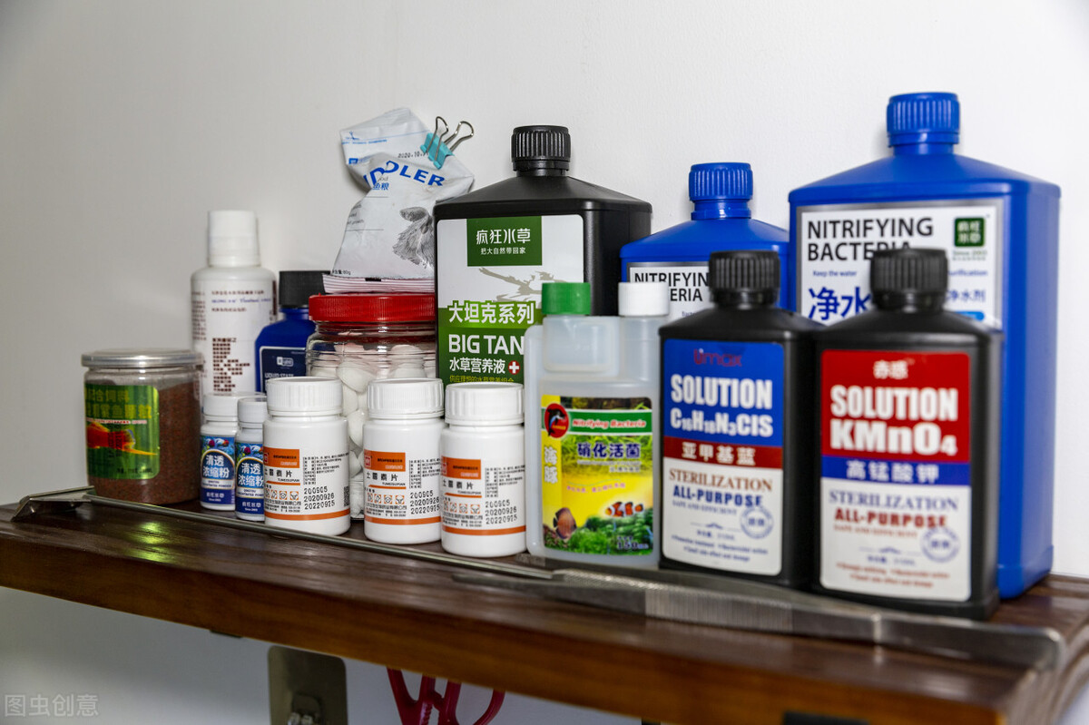 养鱼先养水的秘诀,养鱼先养水用什么药