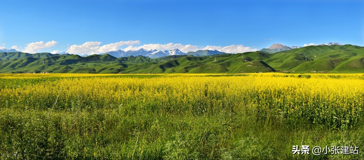 怎么做网站优化,怎样给自己的网站做优化