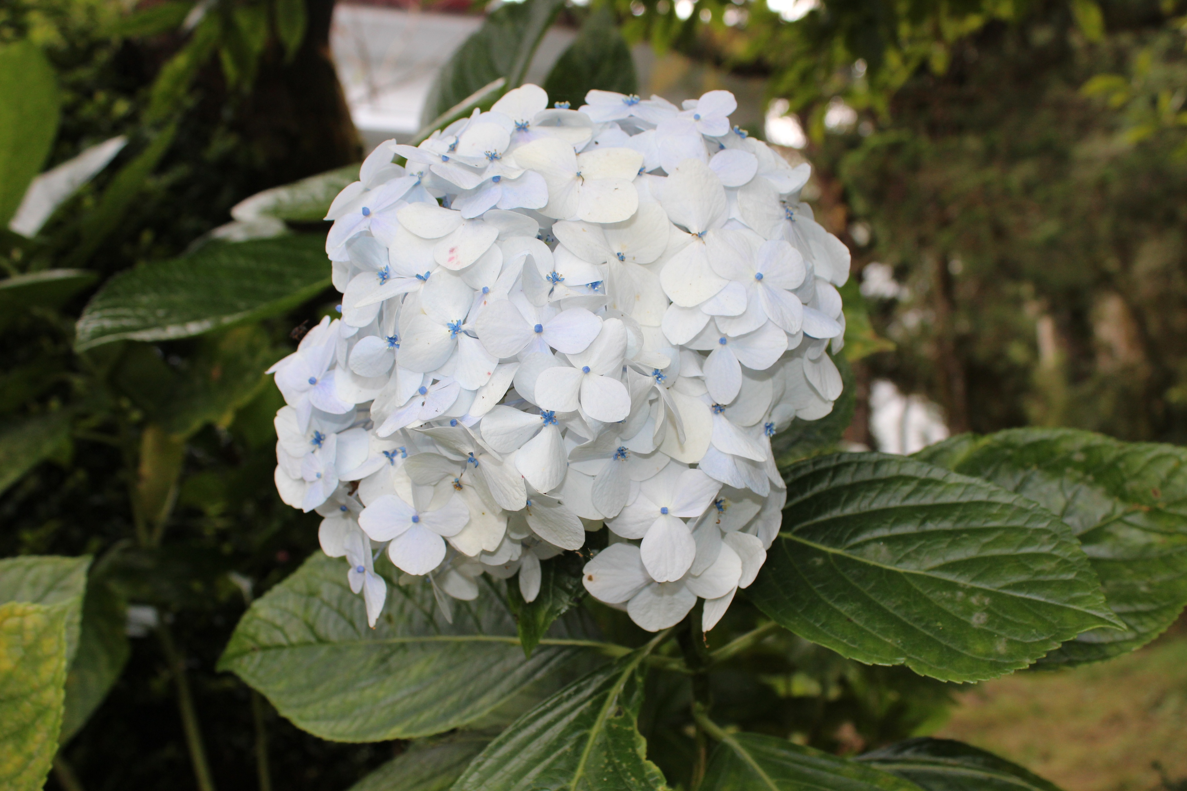 台湾行之垦丁南湾沙滩,台湾行