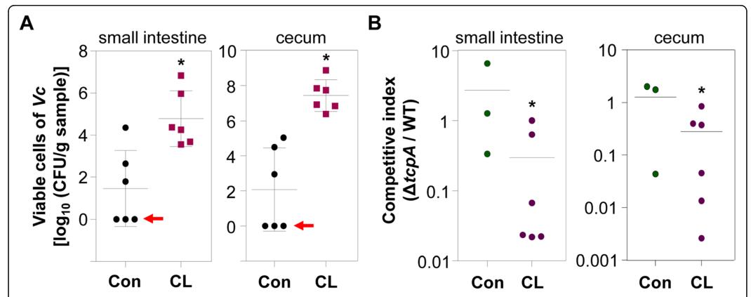 宠物狗容易出现的几种病况,宠物狗最容易得什么疾病