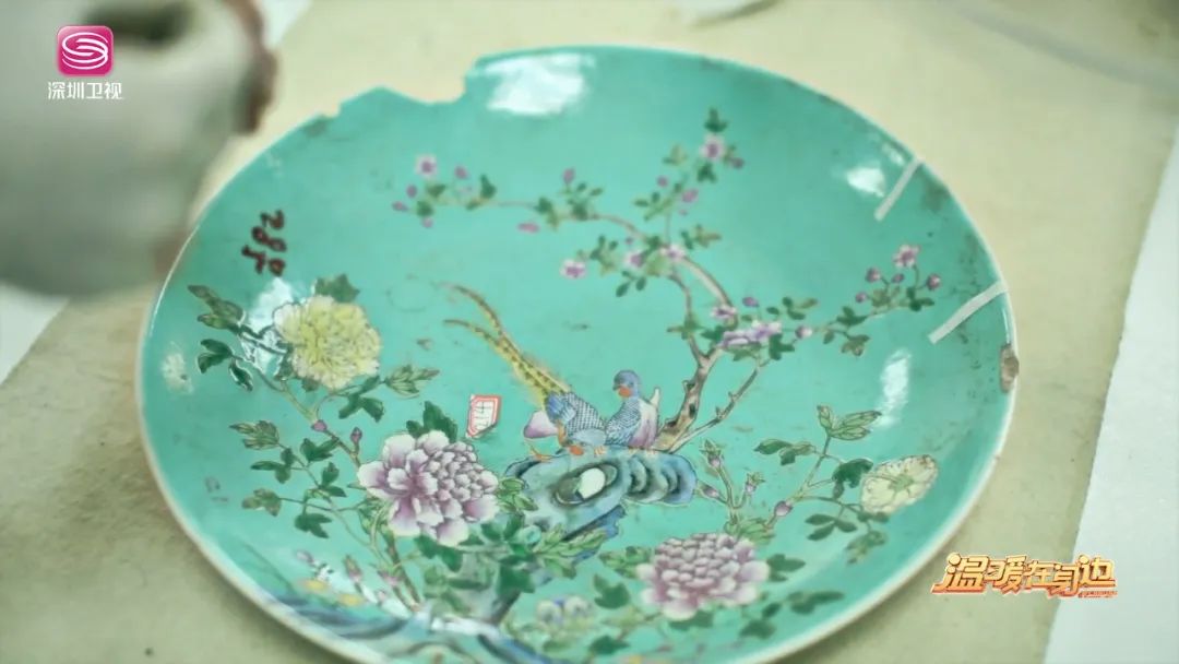 能给病人看病的是什么医生,专门给动物看病