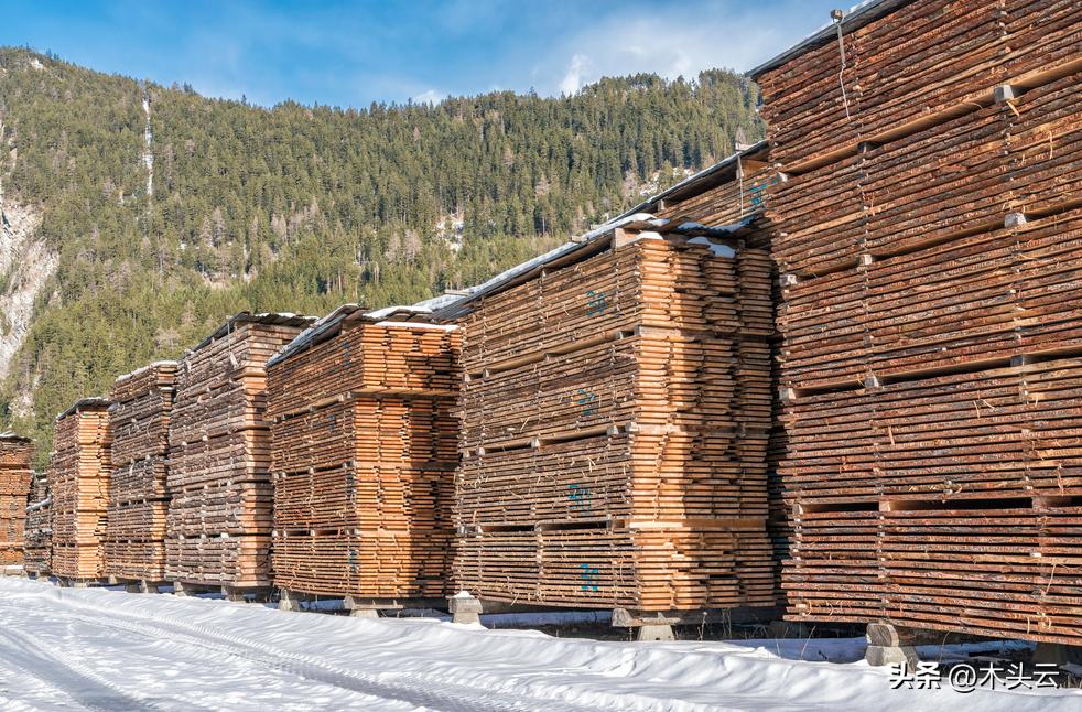 俄罗斯粗加工木材出口保护税期限延长，其余木材出口税有调整