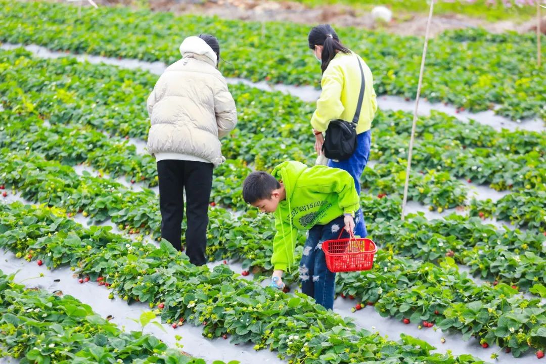 假期去哪玩最好深圳,假期去哪里玩深圳