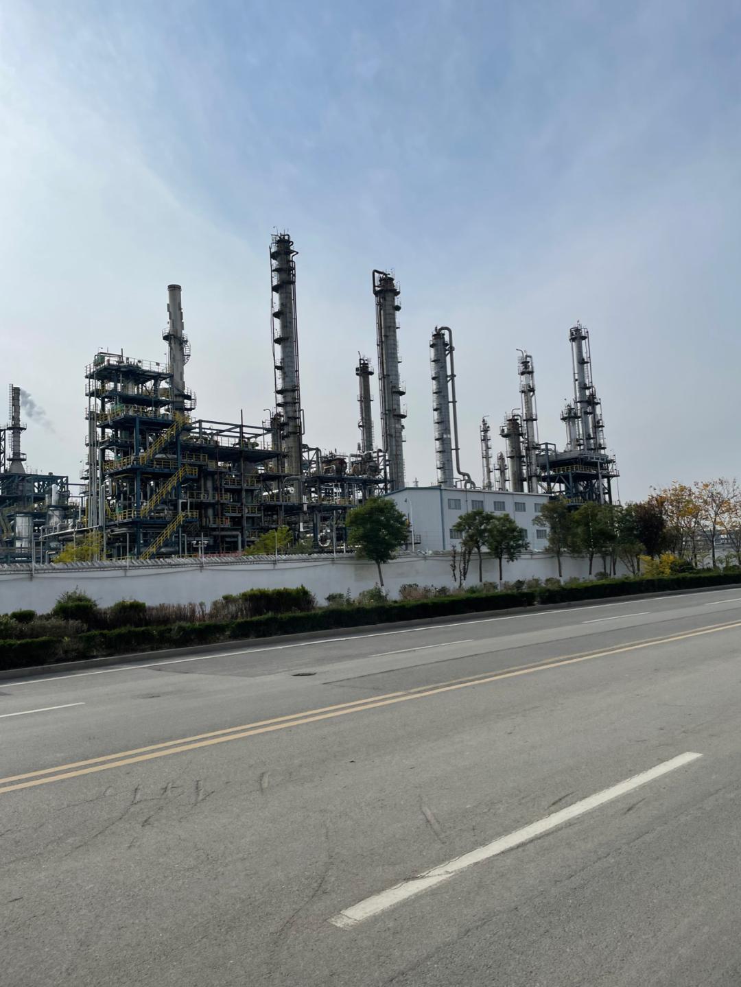 董董骑行山东,懂懂骑山东